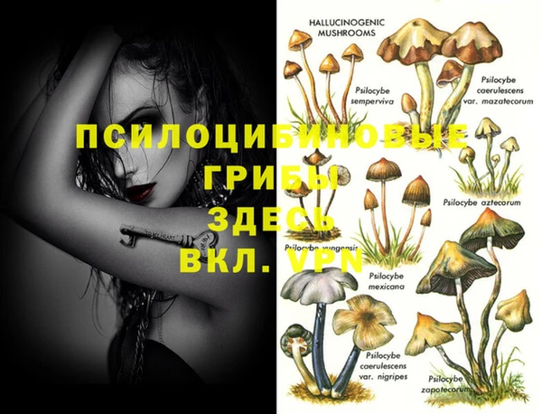 метадон Дмитров