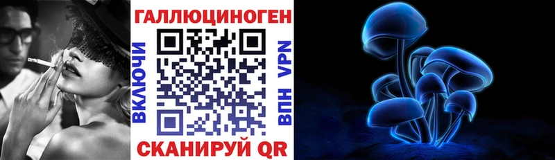 Купить  Алексеевка  Псилоцибиновые грибы мицелий 