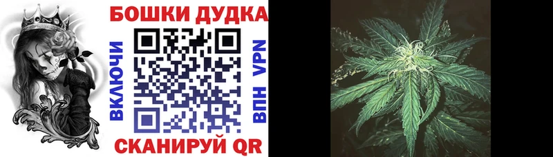 Купить  Алексеевка  Каннабис SATIVA & INDICA 